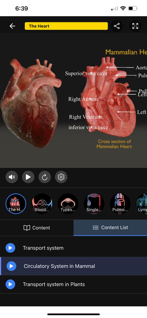 3D Separation Technique